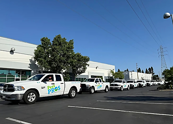 Sacramento Pest Control Companies Pest Pros Pest Solutions