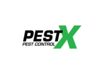 PestX Pest Control