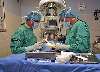 Virginia Beach Veterinary Clinics Pet Care Veterinary Hospital