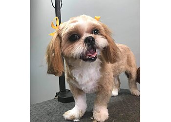 Brownsville Pet Grooming Pet Go Shop & Pet Groomer