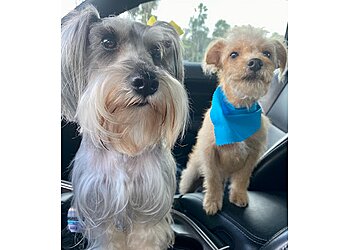 Brownsville Pet Grooming Pet Go Shop & Pet Groomer