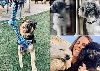 Chandler Dog Walkers Pet Love Partners