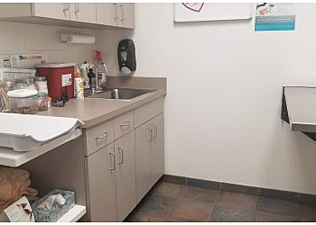 St Petersburg Veterinary Clinics Pet Pal Veterinary Clinic