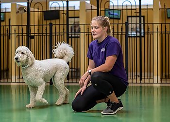 Indianapolis Pet Grooming Pet Palace