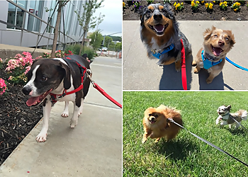 Overland Park Dog Walkers Pet Pals KC, LLC