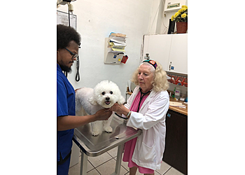 Miami Gardens Veterinary Clinics Pet Parade