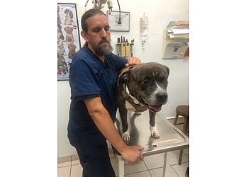 Miami Gardens Veterinary Clinics Pet Parade