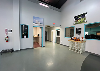 Irving Pet Grooming Pet Paradise Las Colinas