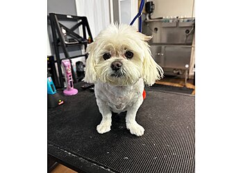 Baton Rouge Pet Grooming Pet Parlor Pet Grooming, LLC