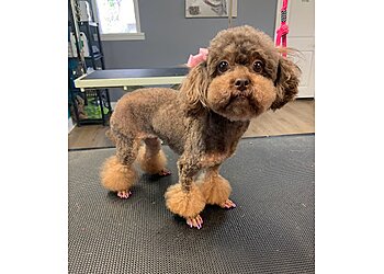 Baton Rouge Pet Grooming Pet Parlor Pet Grooming, LLC