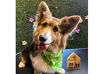 Laredo Pet Grooming Pet Services AG