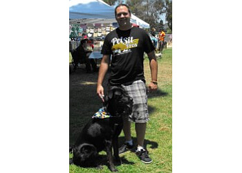 Pet Sit Pros, Inc. Long Beach Dog Walkers
