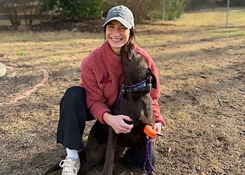 Toledo Dog Walkers Pet Sitting By Carly