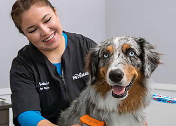 Joliet Pet Grooming PetSmart