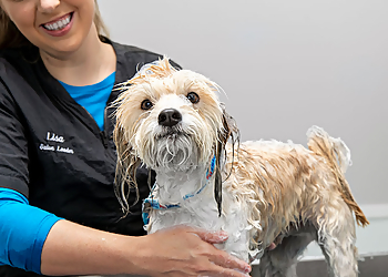 Joliet Pet Grooming PetSmart