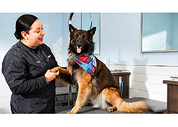 PetSmart - Salem, OR Pet Stores - Service Image