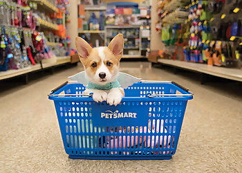 Albuquerque Pet Stores PetSmart Albuquerque