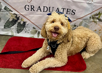 PetSmart Dog Training - Elk Grove, CA Dog Training - Service Highlights