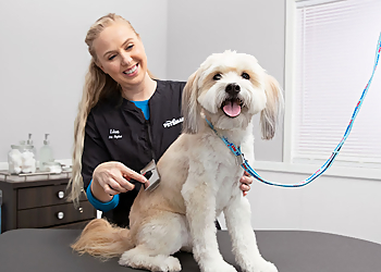 Lansing Pet Grooming PetSmart Grooming
