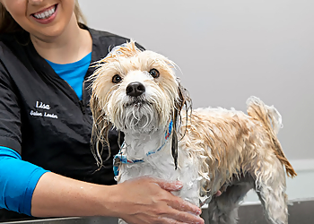 Lansing Pet Grooming PetSmart Grooming