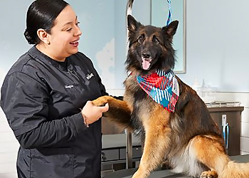 Topeka Pet Grooming PetSmart Grooming