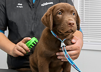 Topeka Pet Grooming PetSmart Grooming