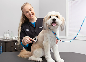 Mesquite Pet Grooming PetSmart Grooming Salon