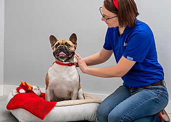 Mesquite Pet Grooming PetSmart Grooming Salon