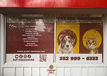 Pet Spa Grooming Patty B Gainesville Pet Grooming image 1