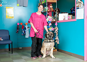 Pet Spa Paws & Play Rochester Pet Grooming image 1
