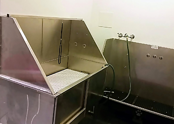 Orange Pet Grooming Pet Strands Grooming