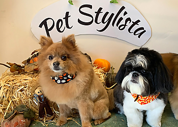 Sacramento Pet Grooming Pet Stylista