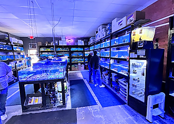 Kansas City Pet Stores Pet-Topia