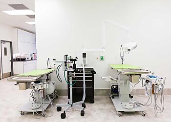 Honolulu Veterinary Clinics PetVet Animal Hospital