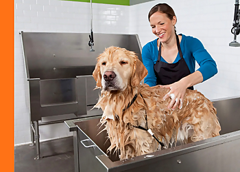 Frisco Pet Grooming Petbar Boutique