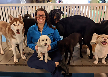Petcheck Pet Sitting Toledo Dog Walkers image 1