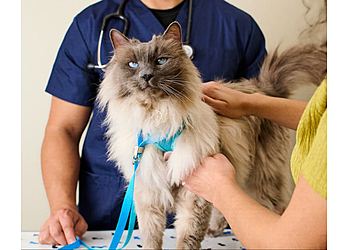 Petco - Salem, OR Pet Stores - Service Image