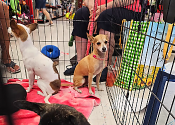 Albuquerque Pet Stores Petco Albuquerque
