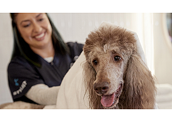 Petco Dog Grooming - Fontana, CA Pet Grooming - Service Image