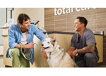 Petco Dog Grooming - Fontana, CA Pet Grooming - Service Highlights