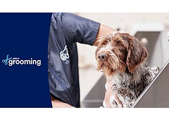 Petco Dog Grooming Waterbury Petco Dog Grooming Waterbury - Waterbury, CT Pet Grooming