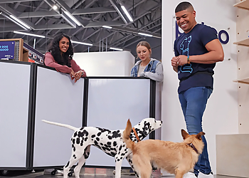 Petco Dog Training - Elk Grove, CA Dog Training - Professional Highlights