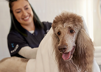 Petco Grooming Petco Grooming - Boulder, CO Pet Grooming - Service Image