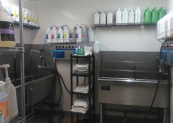 Irving Pet Grooming Petco Grooming