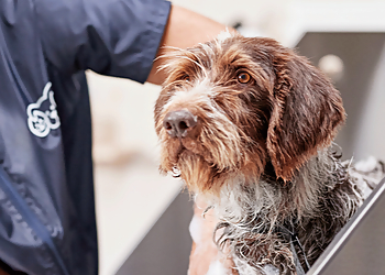 Irving Pet Grooming Petco Grooming