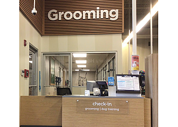 Lafayette Pet Grooming Petco Grooming