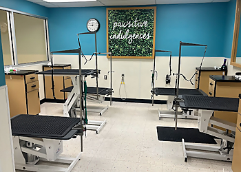 Walnut Creek Pet Grooming Petco Grooming