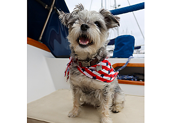 West Valley City Pet Grooming Petco Grooming West Valley City