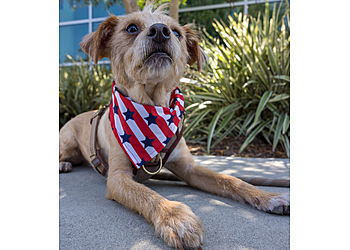 West Valley City Pet Grooming Petco Grooming West Valley City