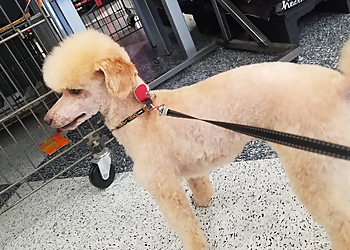 Wichita Falls Pet Stores Petco Wichita Falls